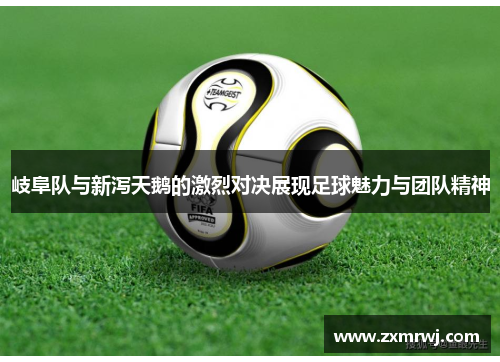 岐阜队与新泻天鹅的激烈对决展现足球魅力与团队精神